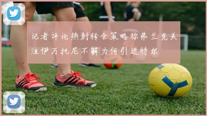记者评论热刺转会策略称弗兰克关注伊万托尼不解为何引进特尔