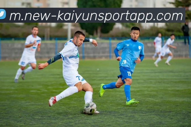 开云足球平台生态图