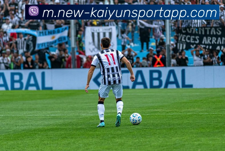 开云足球APP 封面图